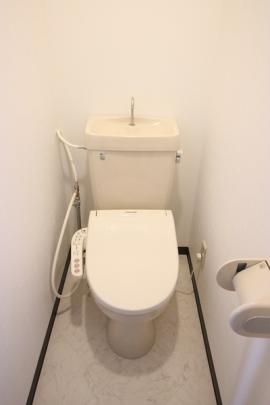 �y���̑��z�@�������֍����I