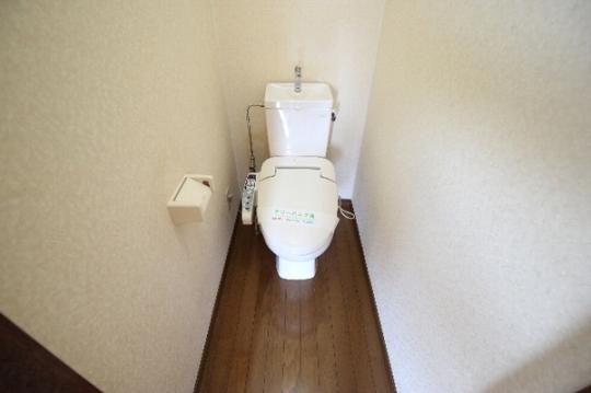 �y���̑��z�@�g�C��