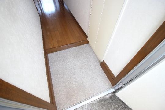 �y���̑��z�@����