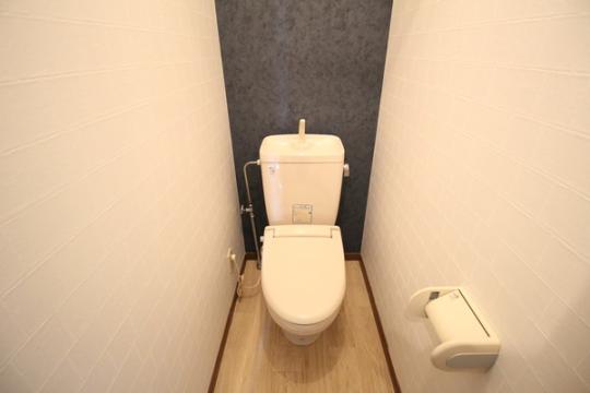 �y���̑��z�@�g�C��