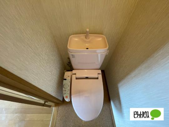 �y���̑��z�@�g�C��