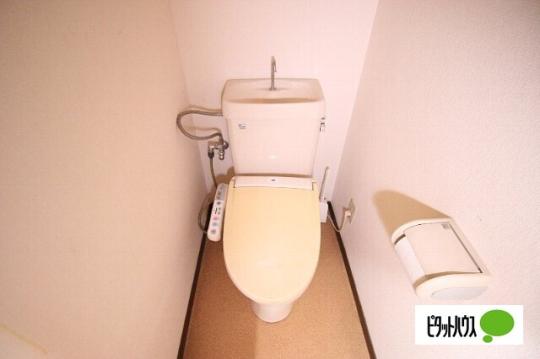 �y���̑��z�@�g�C��